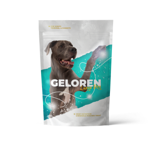 Geloren Large Dog