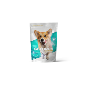Geloren Small Dog
