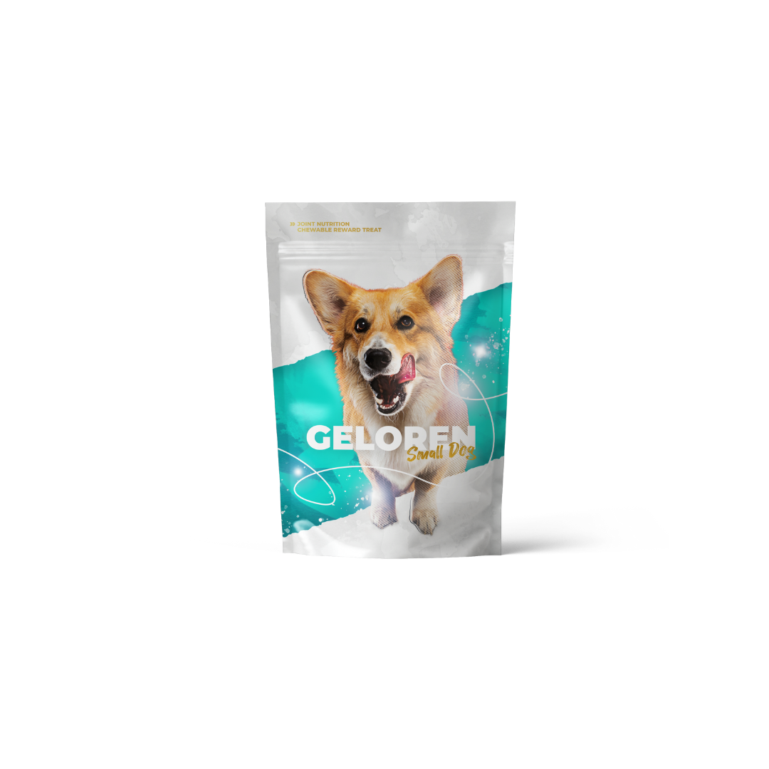 Geloren Small Dog 2 Geloren Small Dog - obrazek 2