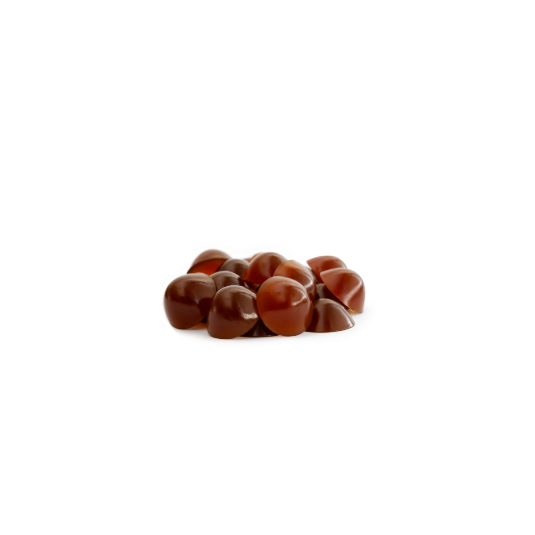 Geloren Small Dog 3 Geloren Small Dog - obrazek 3