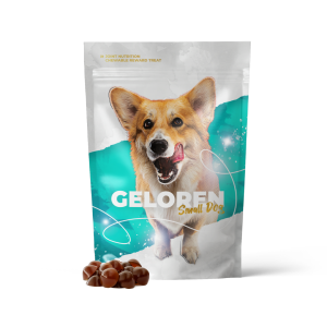 Geloren Small Dog