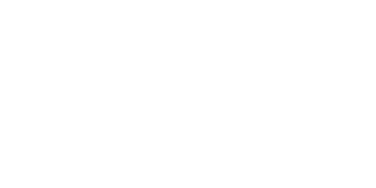 logo Vetispro